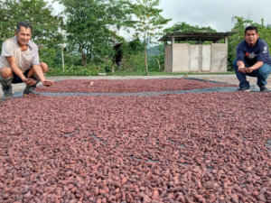 produttori cacao